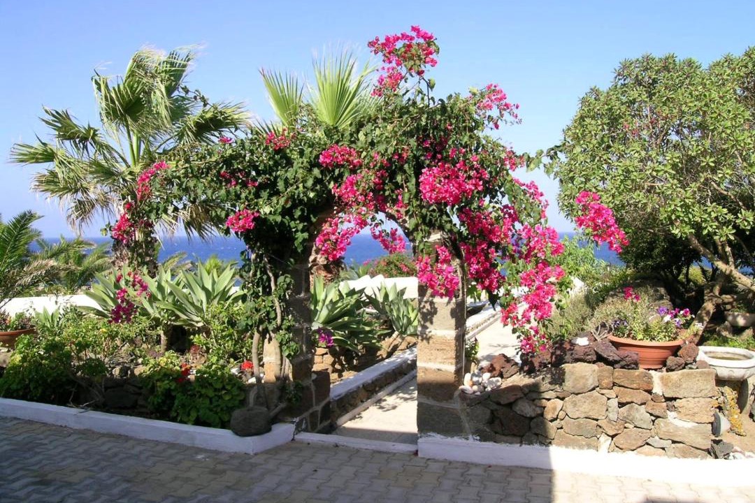 Photo of Others in Pantelleria