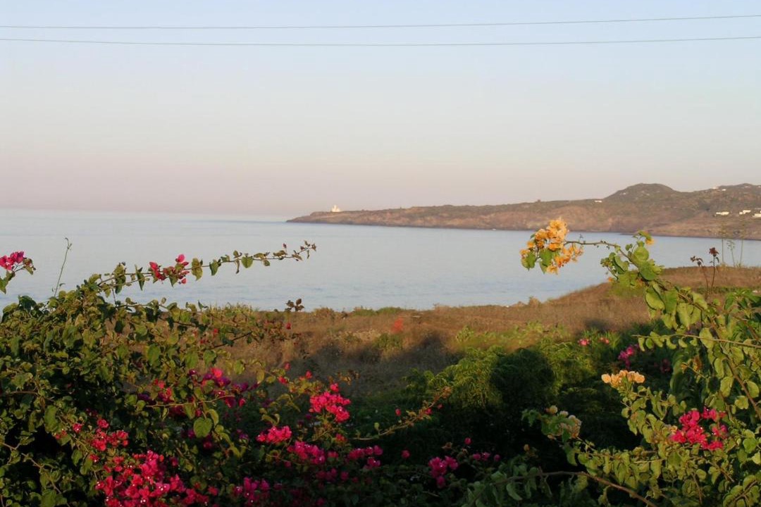 Photo of Others in Pantelleria