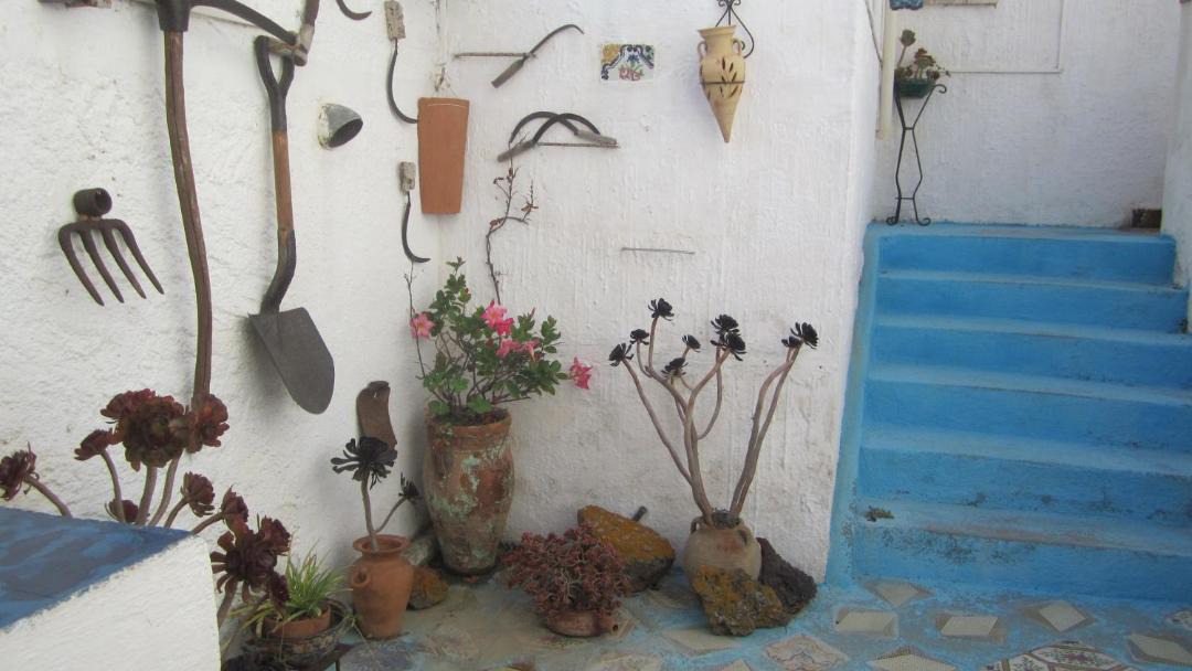 Photo of Others in Pantelleria