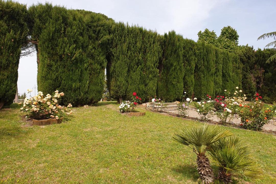 Photo of Others in Campagnatico