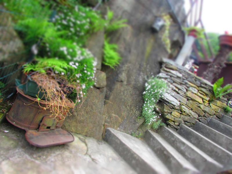 Photo of Others in Calasca-Castiglione
