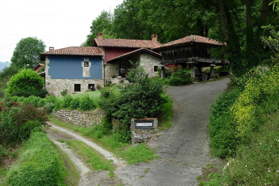 Photo of Buildings in Ribadesella
