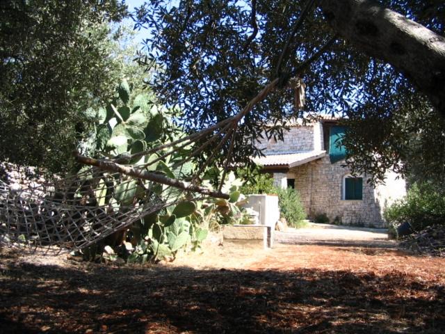 Photo of Buildings in Marina San Gregorio