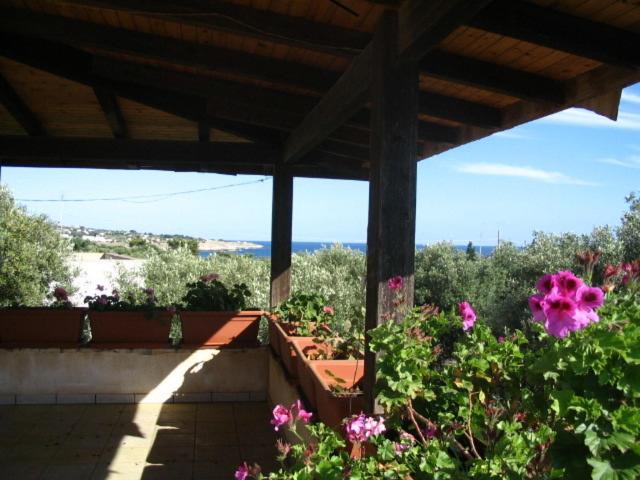 Photo of Patio Balcony in Marina San Gregorio