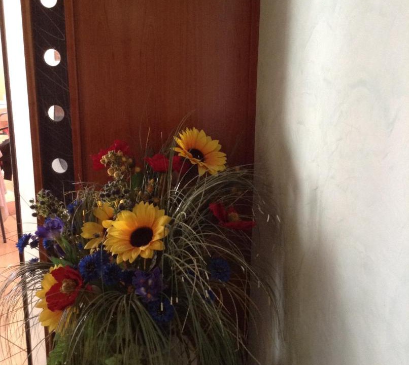 Photo of Others in Castelvetro di Modena