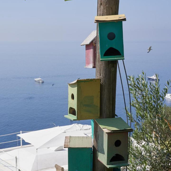 Photo of Others in Marina Piccola