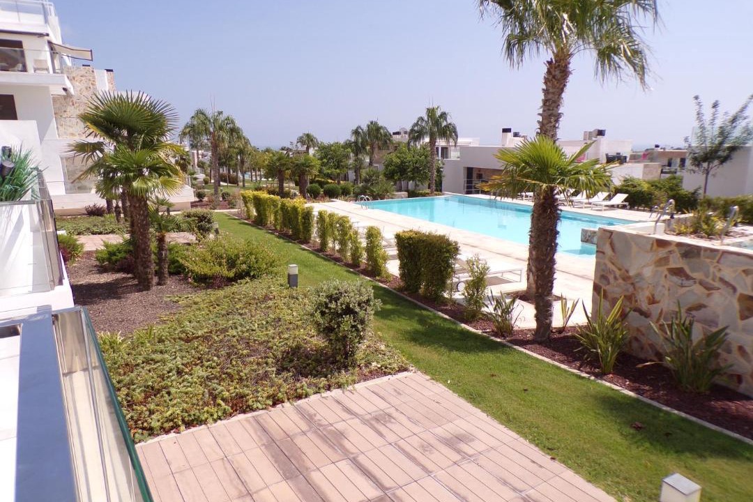 Photo of Others in Orihuela Costa