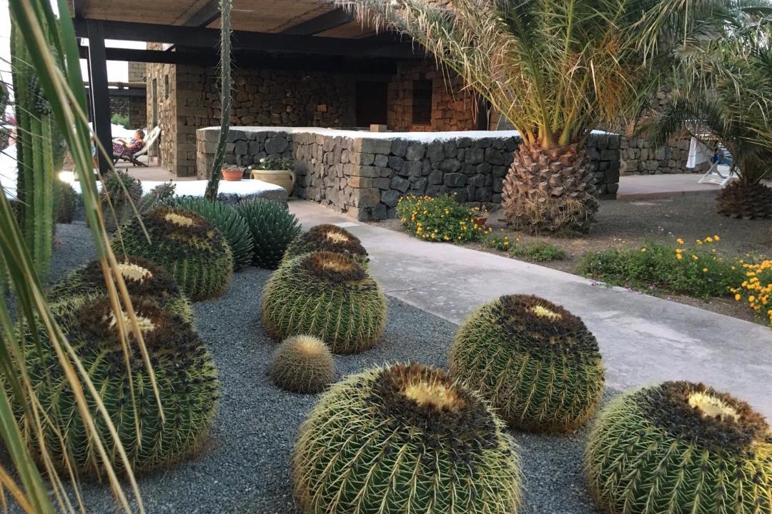 Photo of Others in Pantelleria