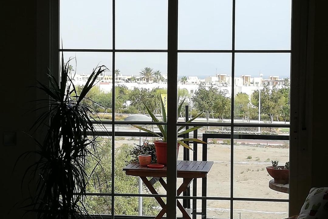 Photo of Others in Retamar