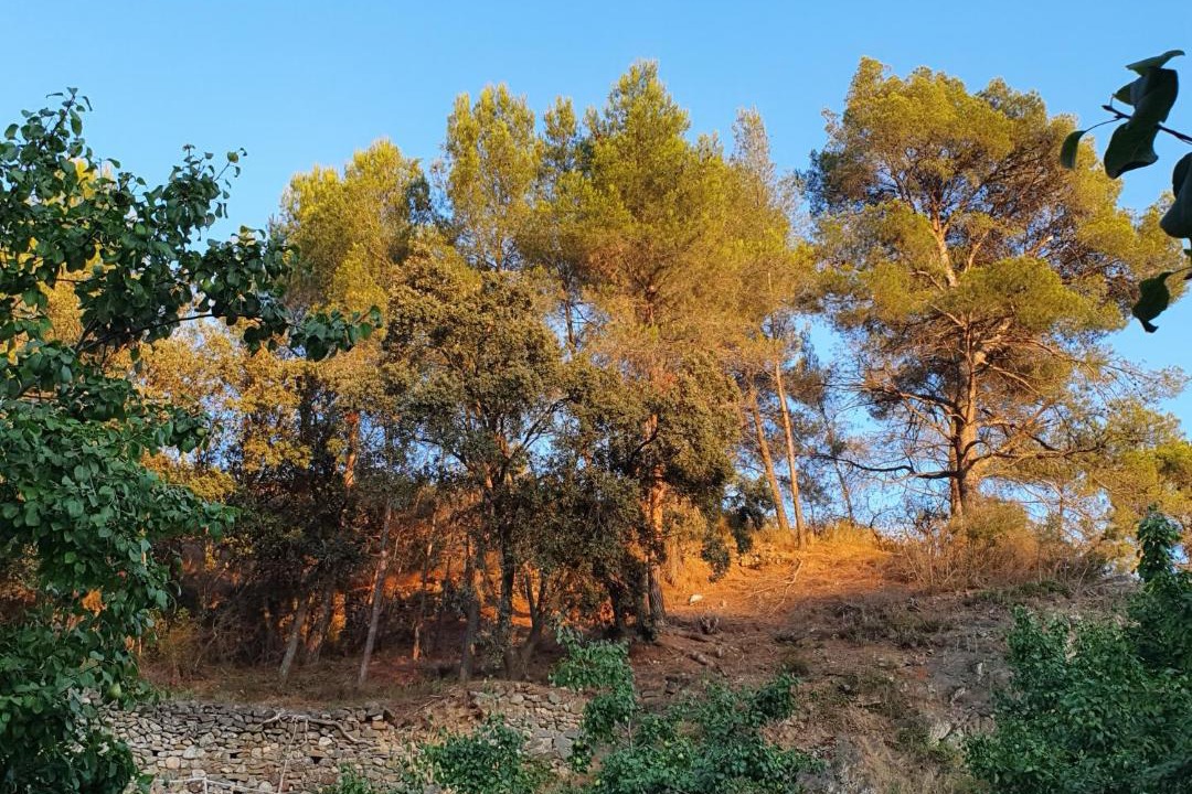 Photo of Others in Torroja del Priorat