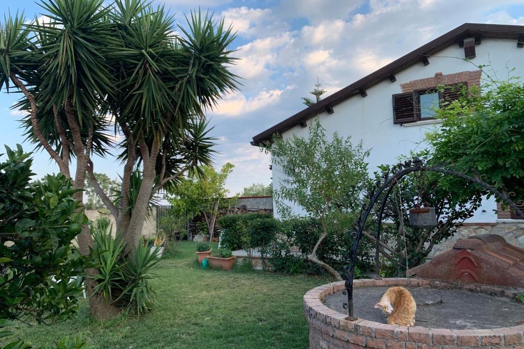 Photo of Buildings in Crotone