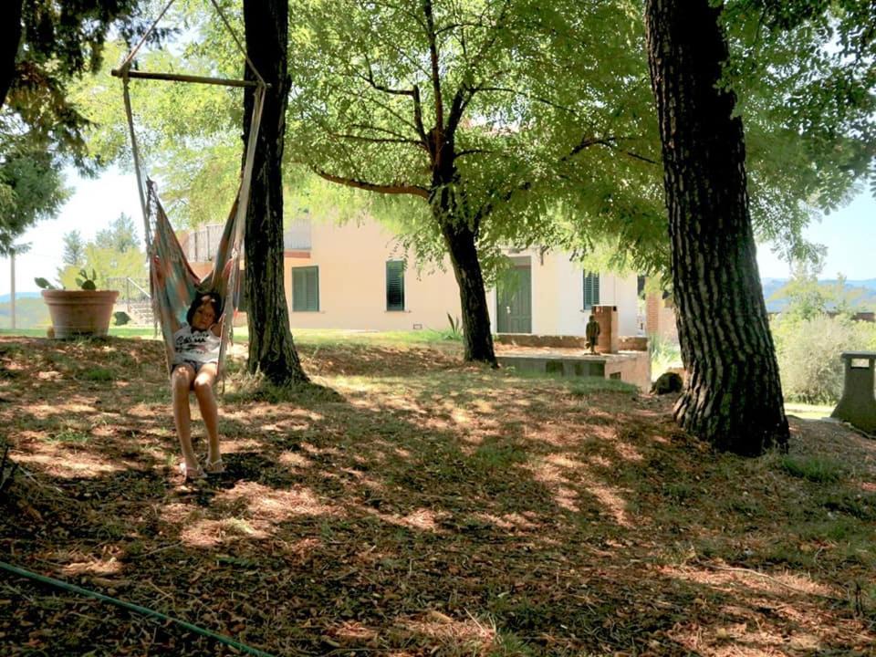 Photo of Outdoor in Aulla