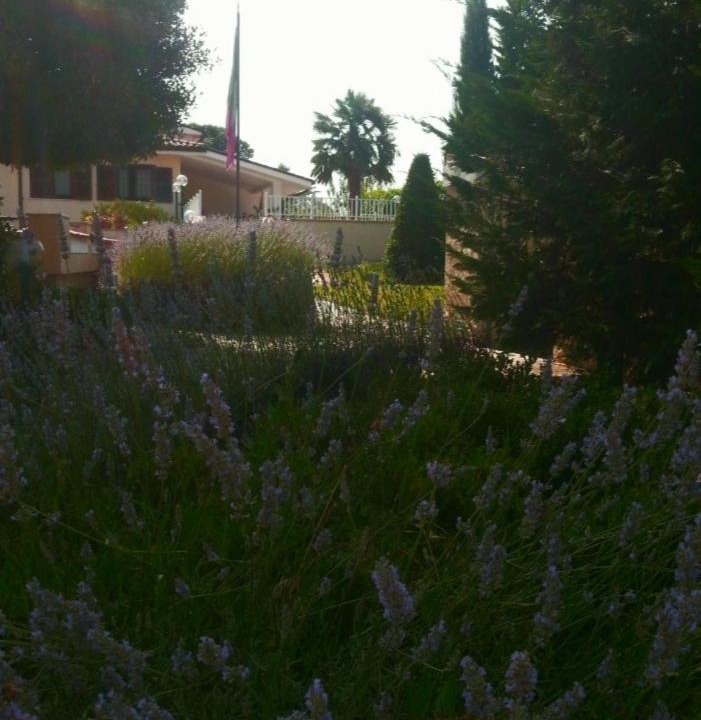 Photo of Outdoor in Colleferro