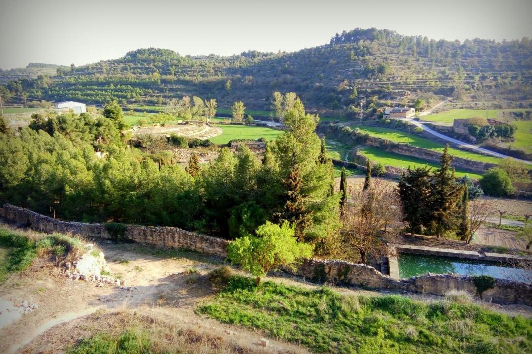 Photo of Outdoor in Vallbona de les Monges