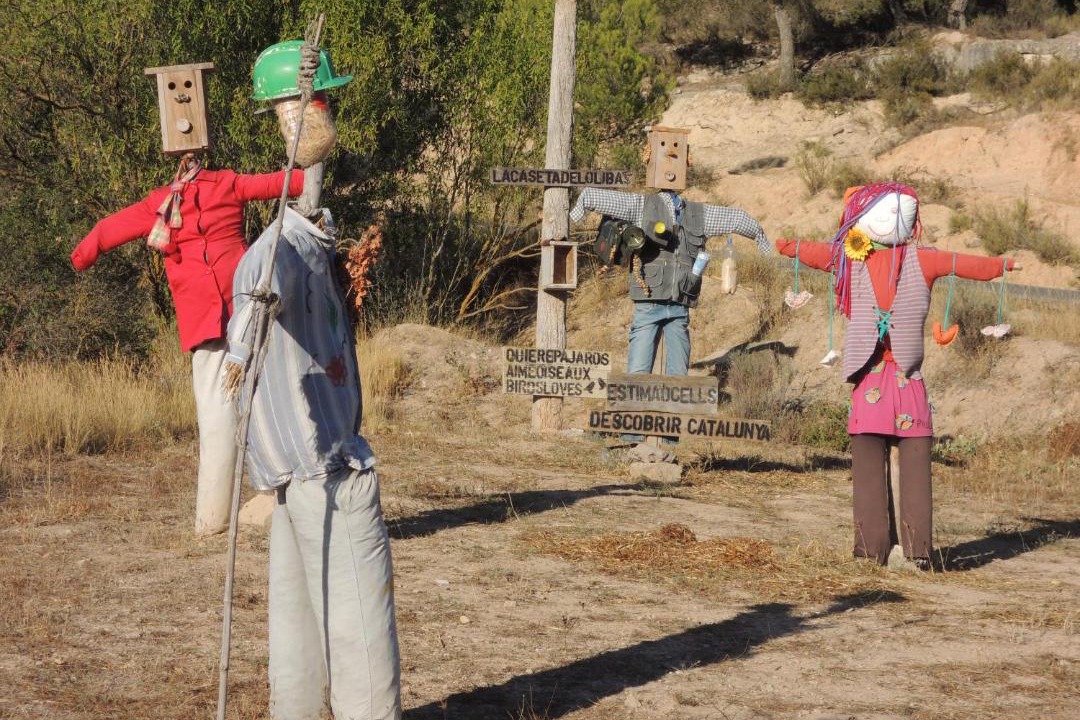 Photo of Others in Vallbona de les Monges