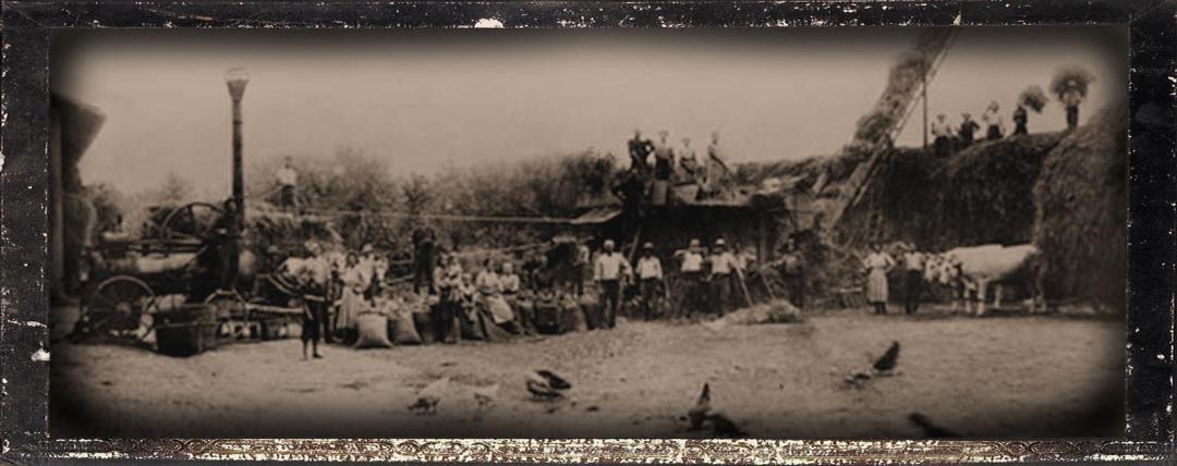 Photo of Others in Flesie