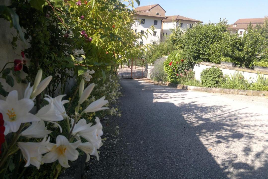 Photo of Others in San Vittorino