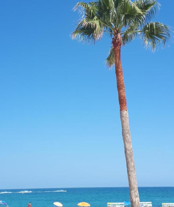 Photo of Outdoor in Altea
