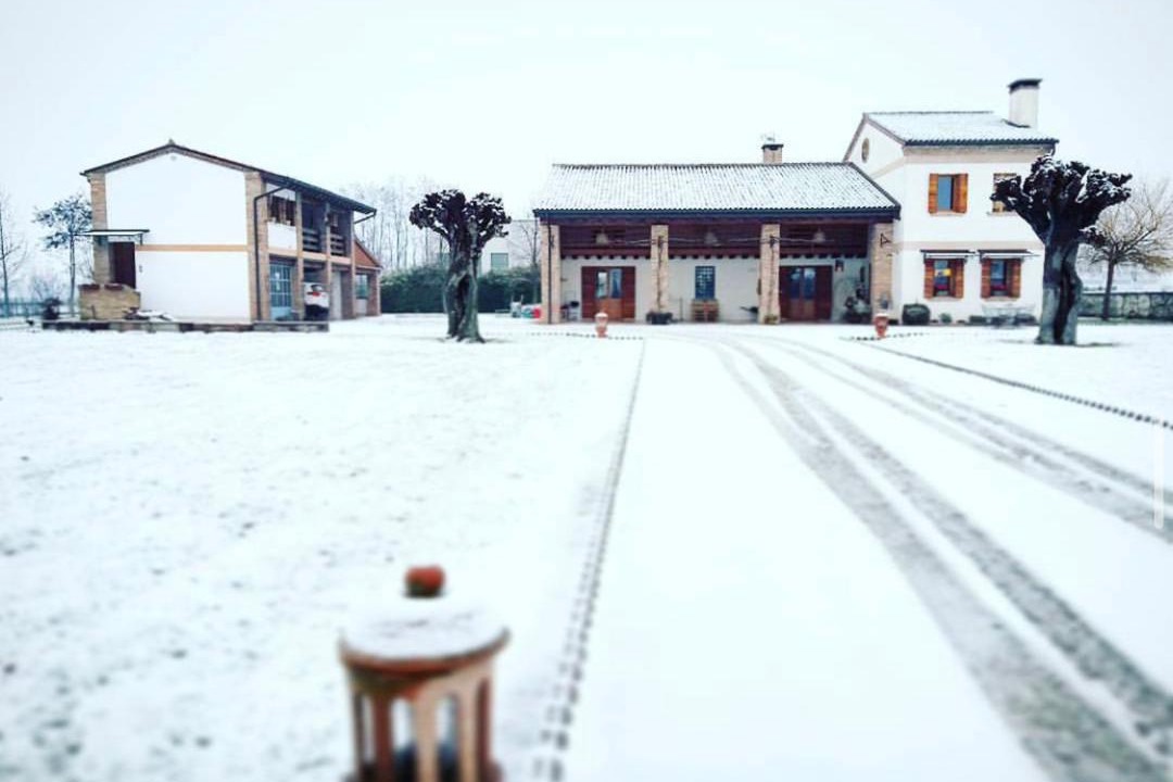 Photo of Others in San Martino di Lupari