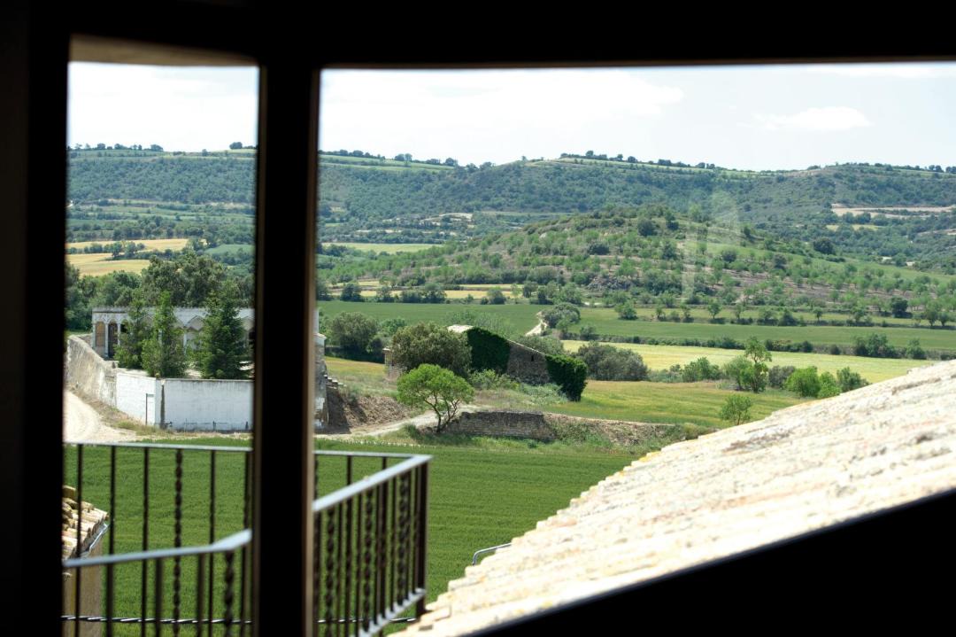 Photo of Others in Palouet