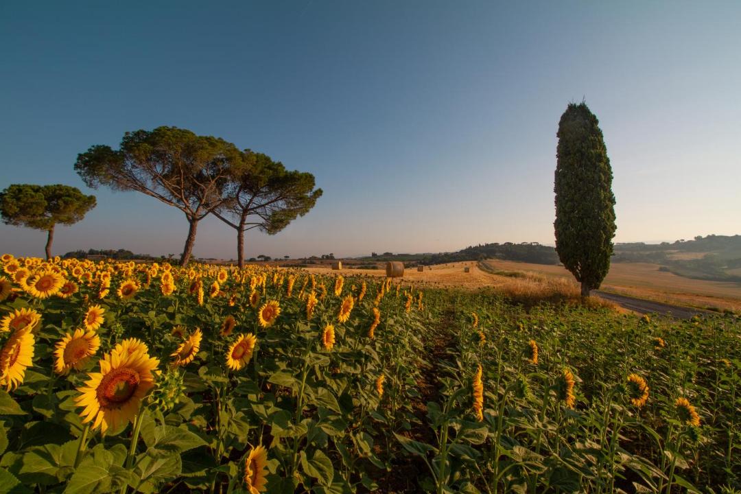 Photo of Outdoor in Castiglione del Lago