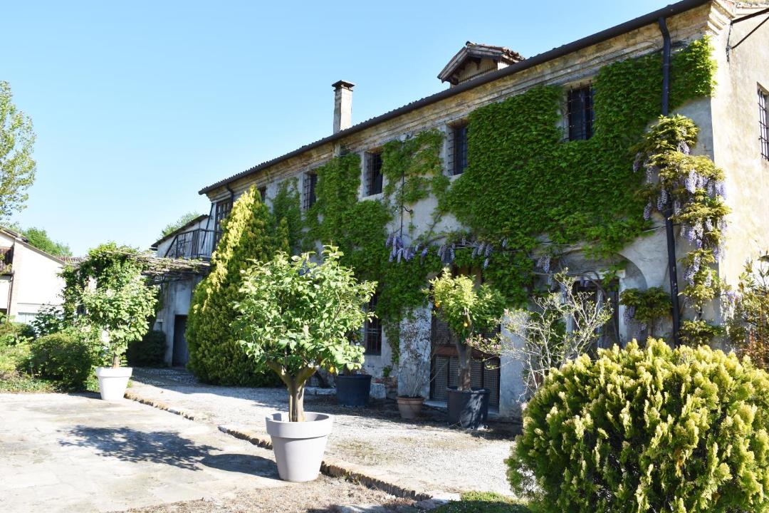 Photo of Others in Tessera