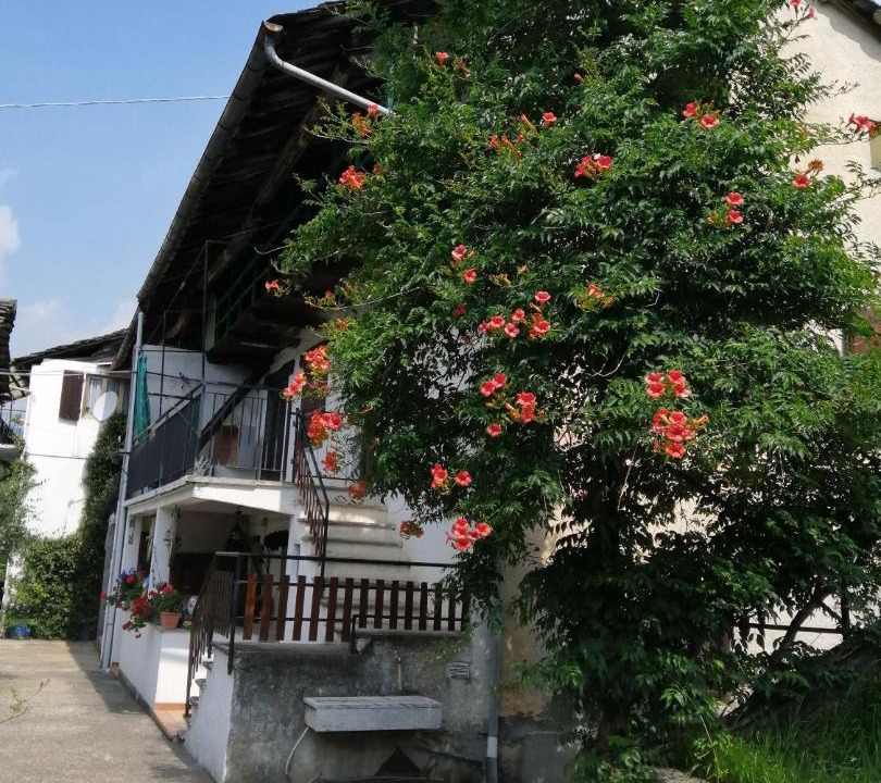 Photo of Buildings in Drusacco
