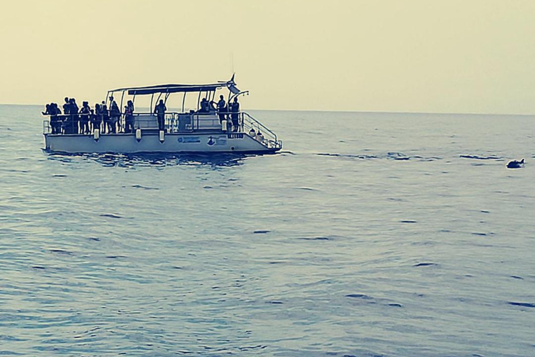 Photo of Outdoor in Taranto