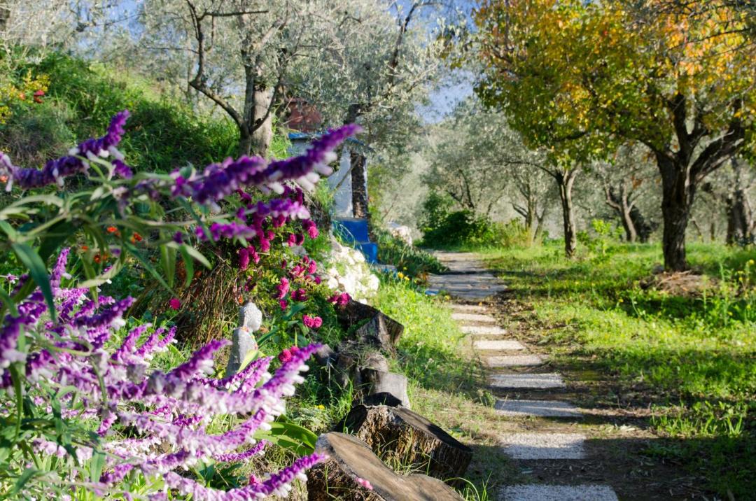 Photo of Outdoor in Lanjaron