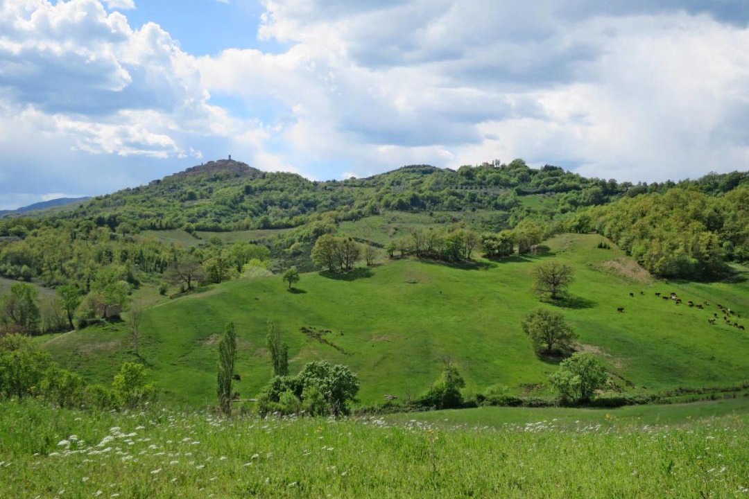 Photo of Others in Ciciano