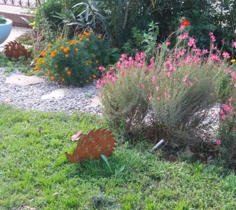 Photo of Outdoor in Sant Mateu