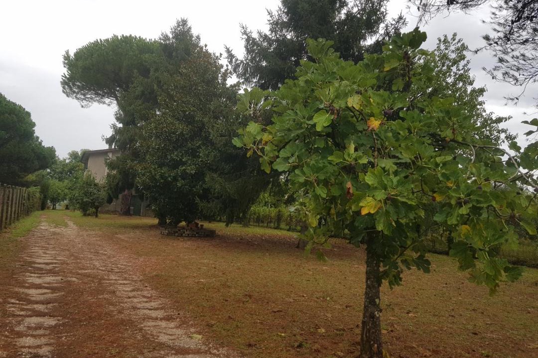 Photo of Outdoor in San Cesareo