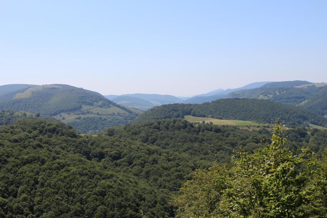 Photo of Others in Orbaitzeta