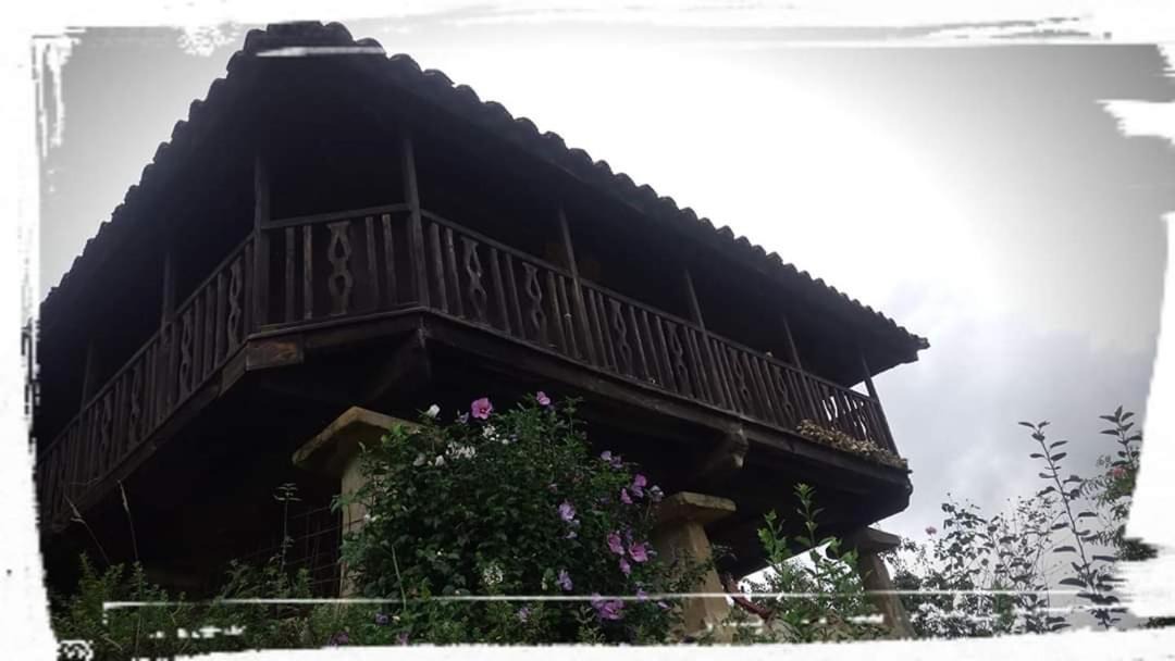 Photo of Others in Santianes de Ola