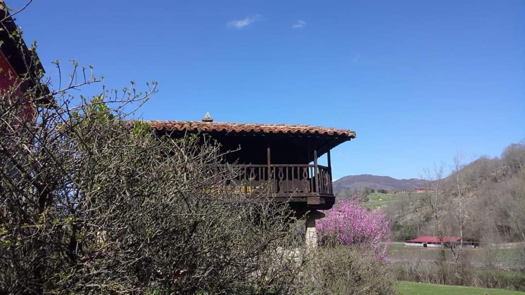 Photo of Others in Santianes de Ola