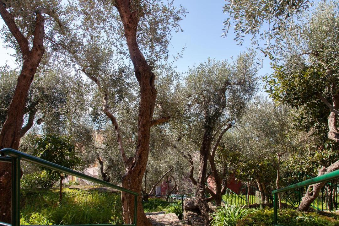 Photo of Outdoor in Tellaro