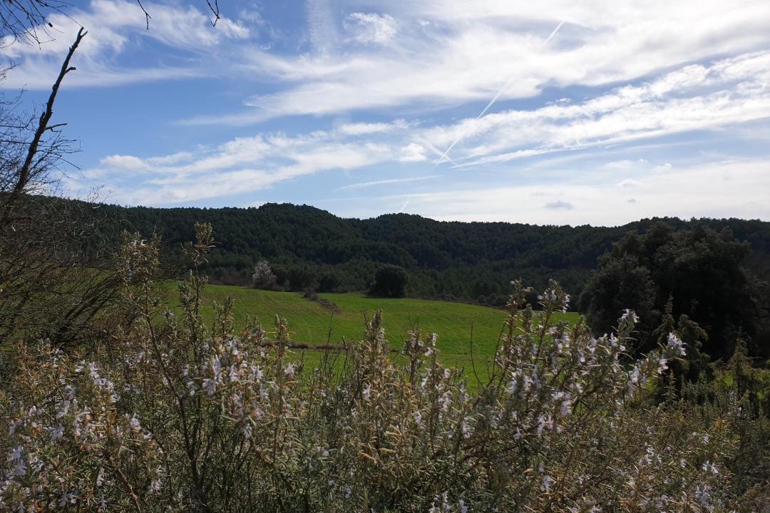 Photo of Others in La Baronia de Rialb