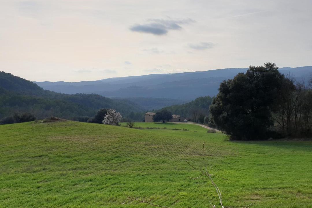 Photo of Others in La Baronia de Rialb