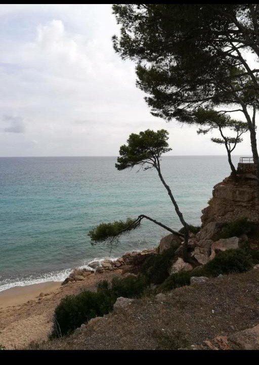 Photo of Outdoor in Miami Platja
