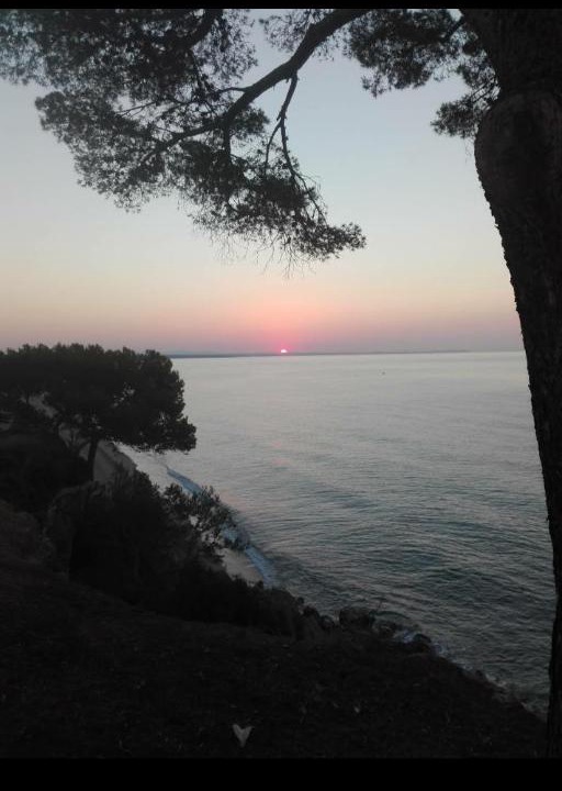 Photo of Outdoor in Miami Platja