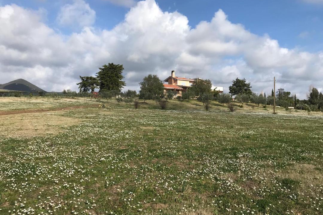 Photo of Others in Cerveteri
