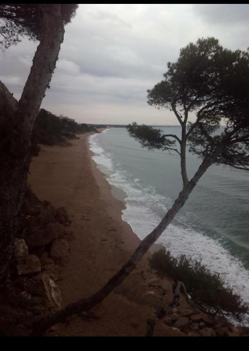 Photo of Others in Miami Platja