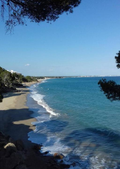 Photo of Outdoor in Miami Platja