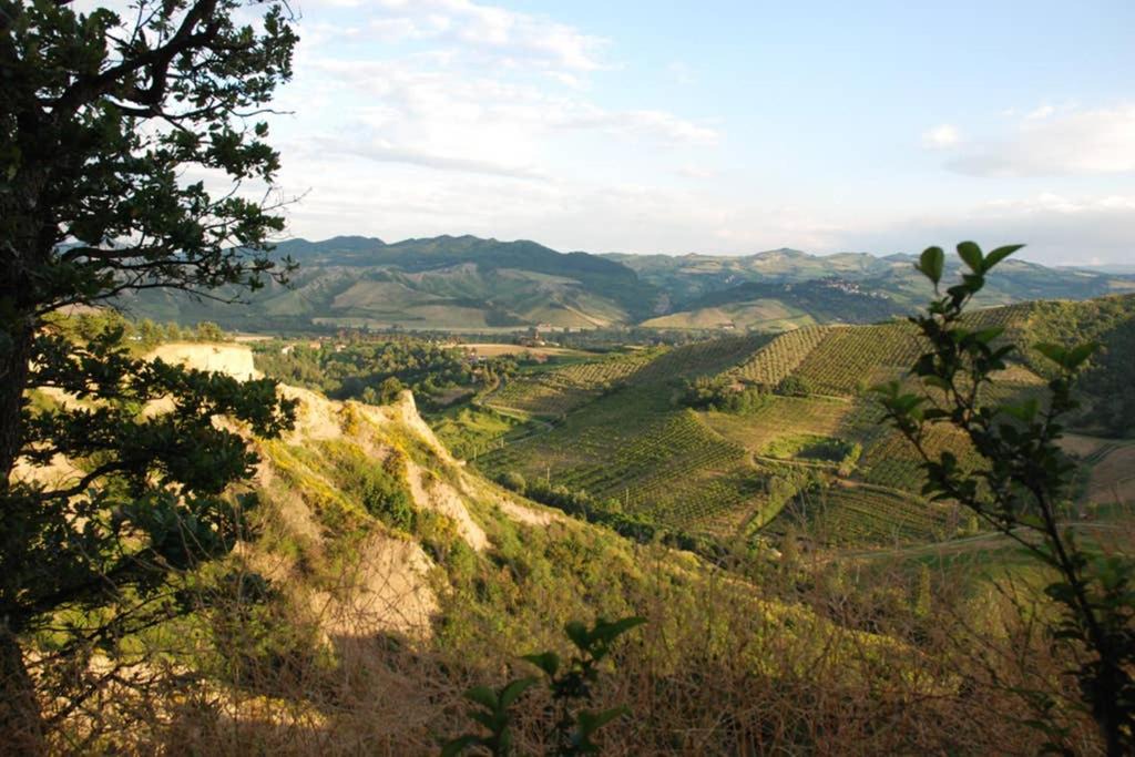 Photo of Others in Casalfiumanese