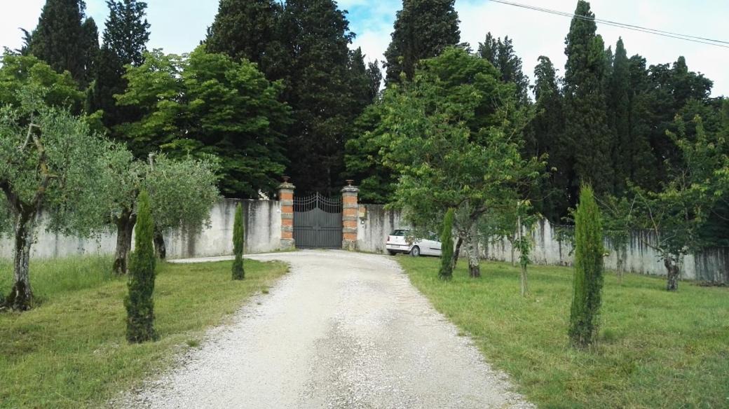 Photo of Others in Rignano sull'Arno