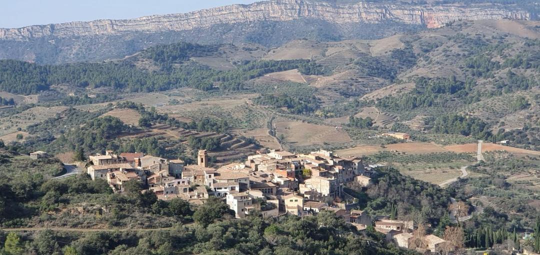 Photo of Buildings in Torroja del Priorat