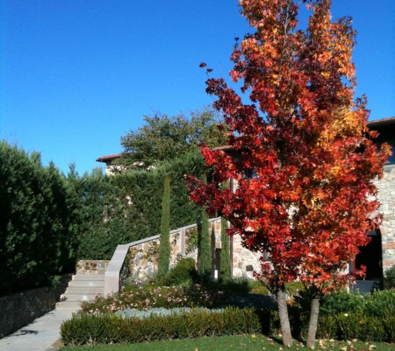 Photo of Outdoor in Rignano sull'Arno