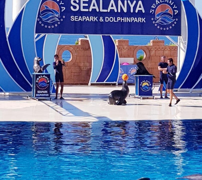Photo of Others in Alanya