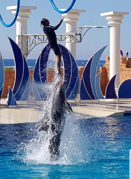 Photo of Others in Alanya