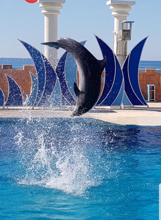Photo of Outdoor in Alanya